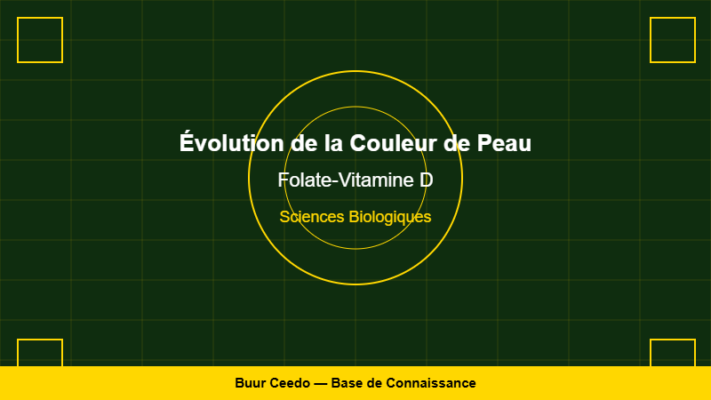 L'Évolution de la Couleur de Peau : L'Ax