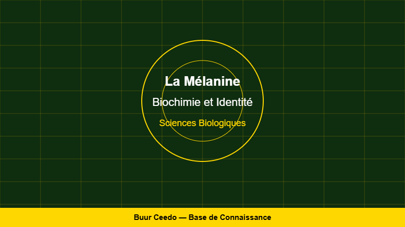 La Mélanine : Biochimie, Identité et Fut